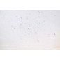 Corcho decorativo "Twist Snow" 3 mm Corcho decorativo "Twist Snow" 3 mm