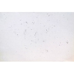 Decorativo aislante autoadhesivo Isolcork 600 Twist Snow 10 mm